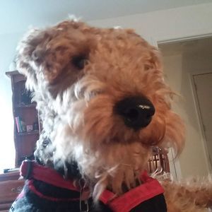 Meet your Posher, Mark